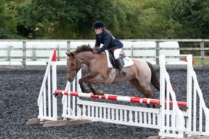 Class 7 - Fences 3' to 3'3